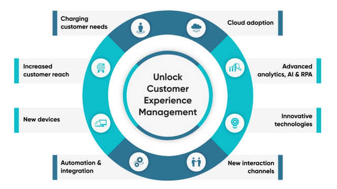 Customer Experience Management Dissertation Help